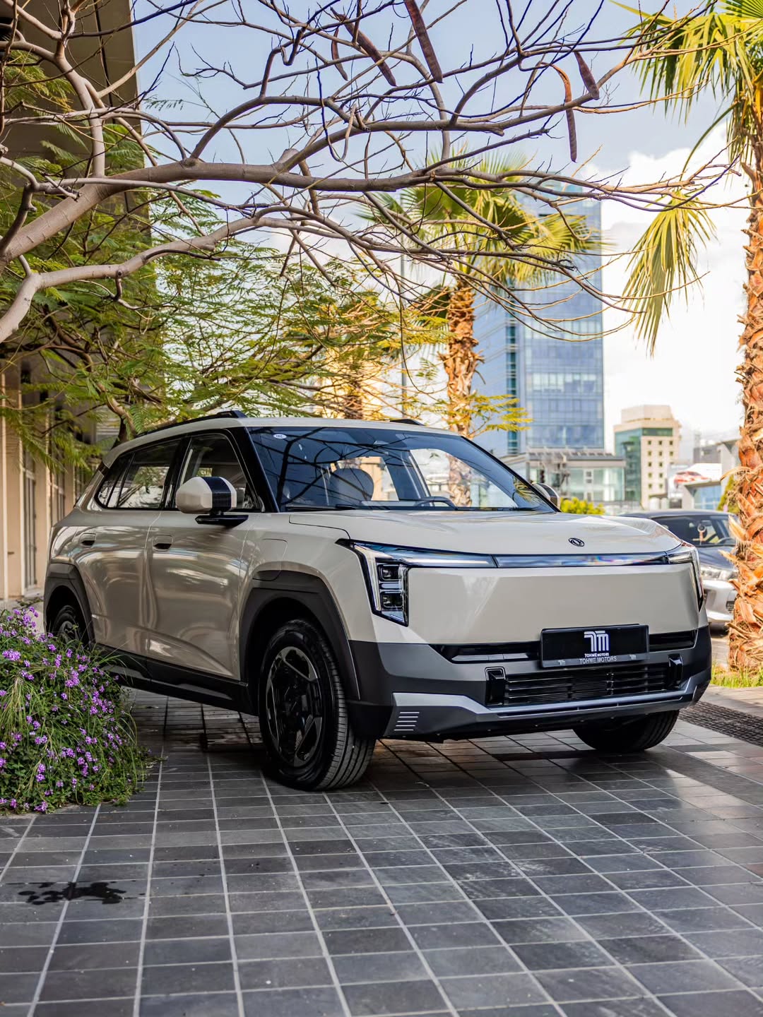2025 DONGFENG NAMMI 06