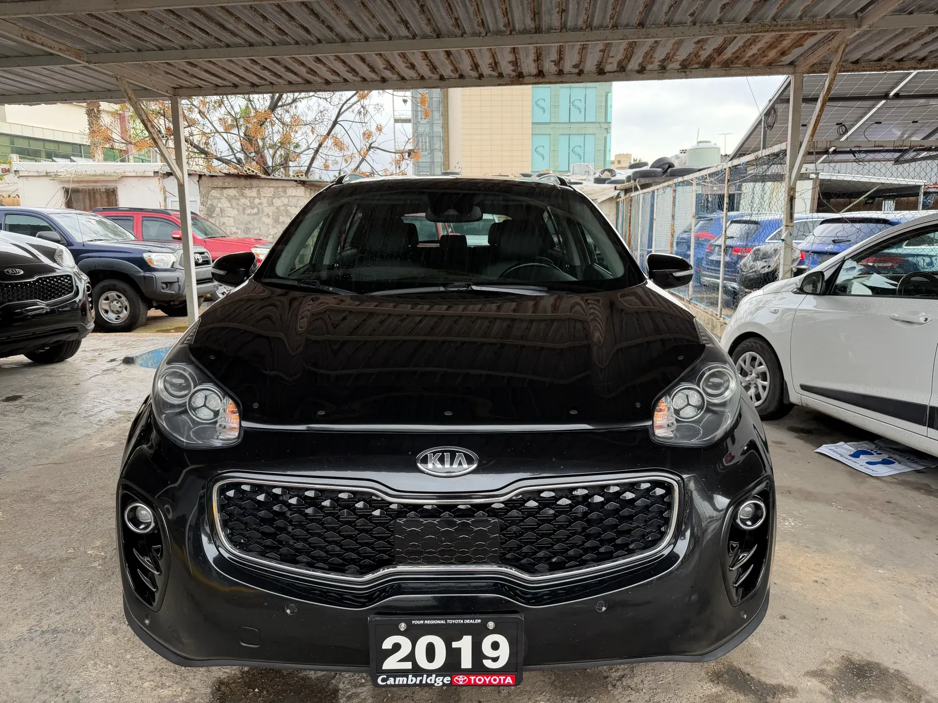 2019 Kia Sportage photo 3