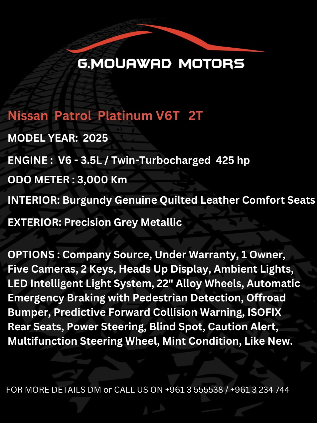 2025 Nissan Patrol photo 4