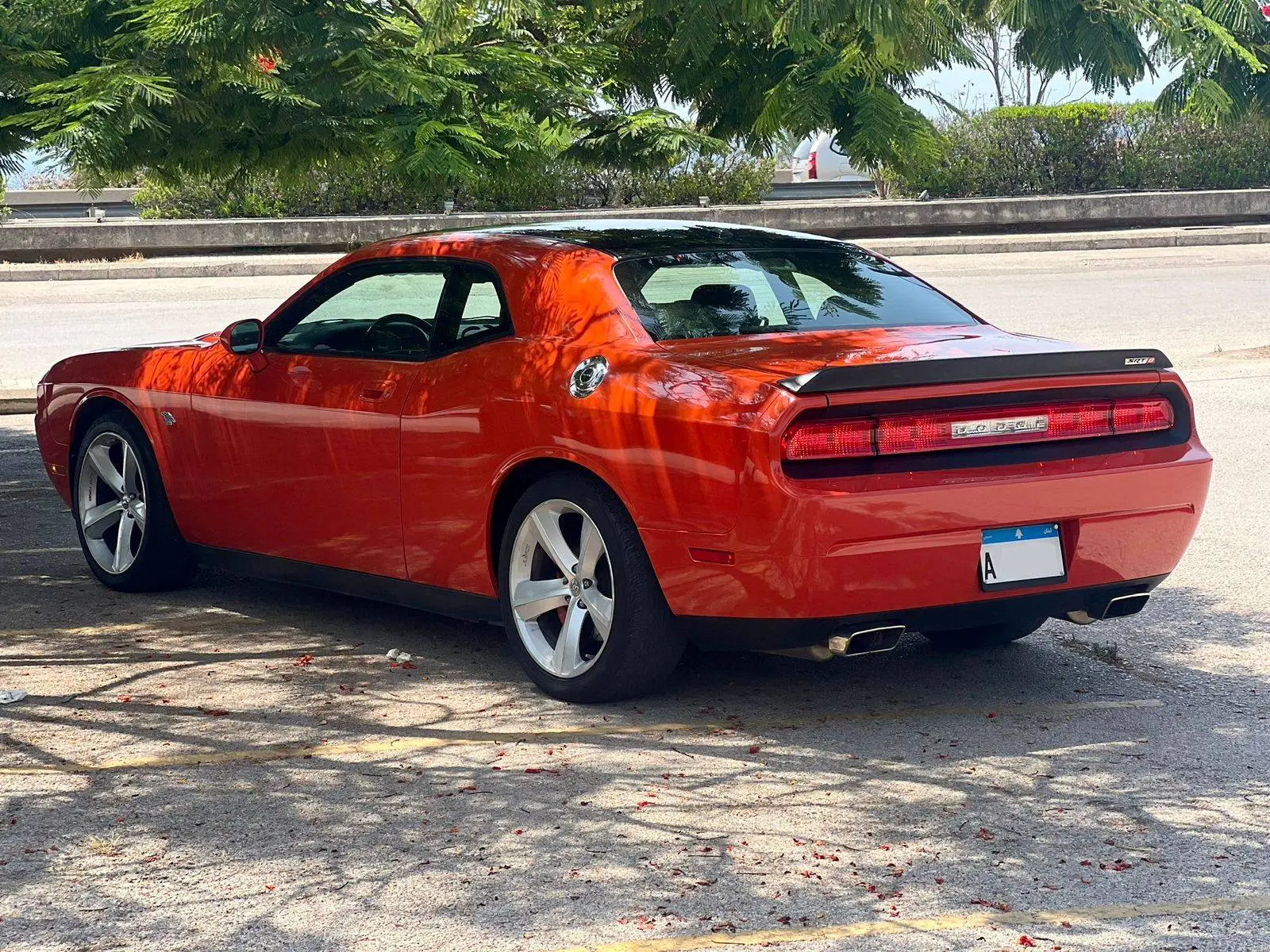 2008 Dodge Challenger photo 4