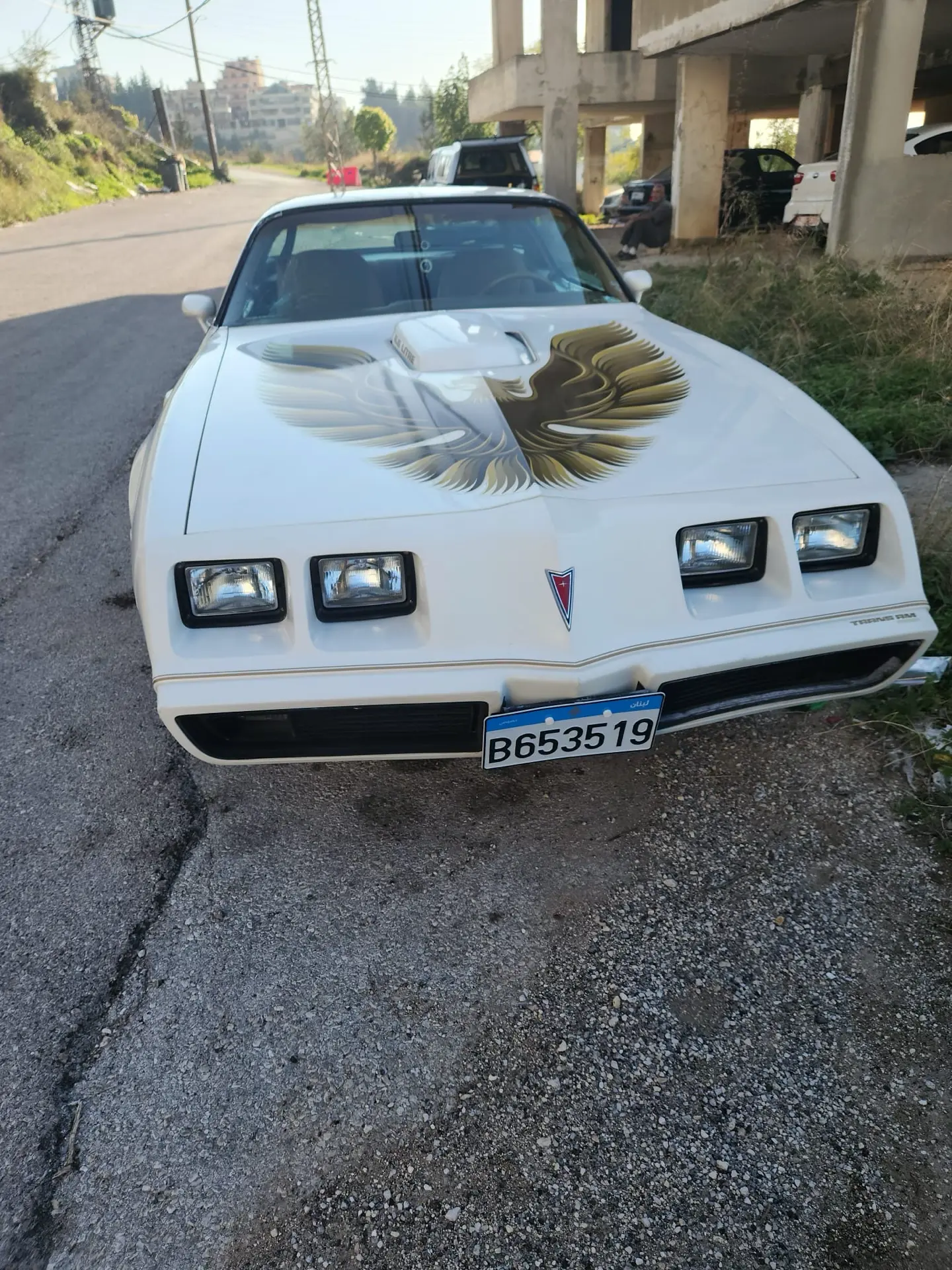 1979 Pontiac Trans Sport