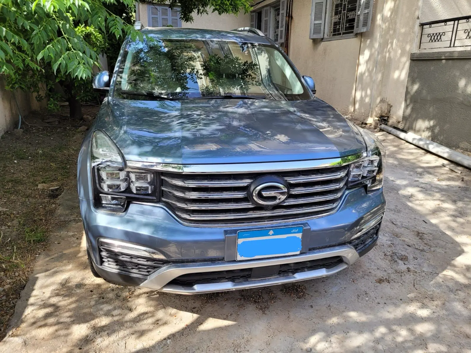 2019 GAC GS8