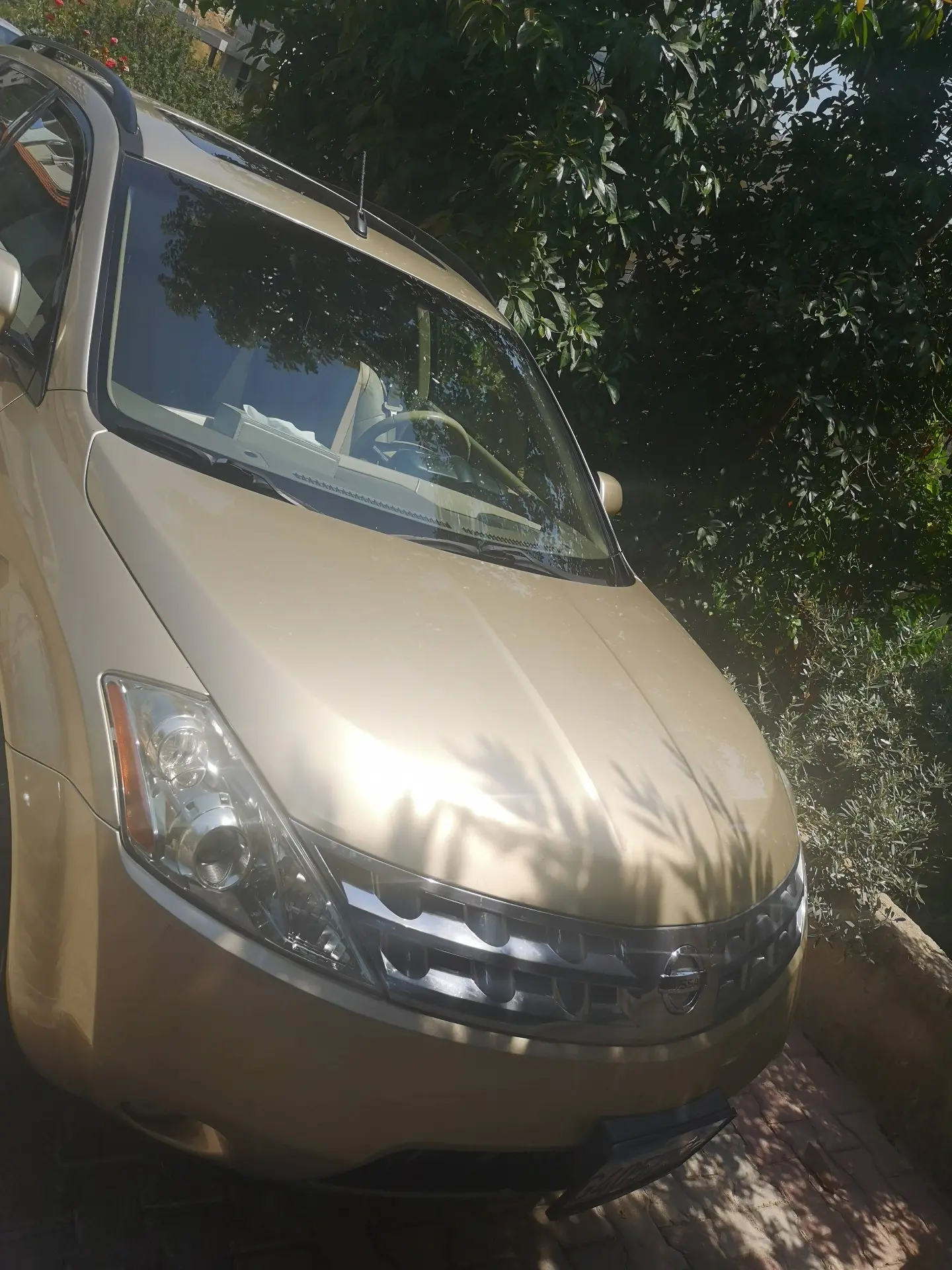 2004 Nissan Murano photo 2